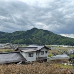 目木-1