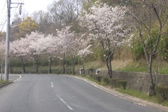 DSC_0003.JPG