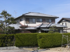 CIMG5472.JPG