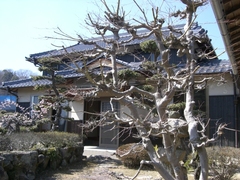 CIMG5481.JPG