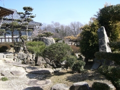 CIMG5488.JPG
