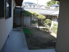 CIMG5489.JPG