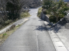 CIMG5494.JPG