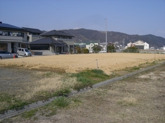 CIMG5518.JPG