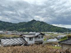 目木-1.jpg
