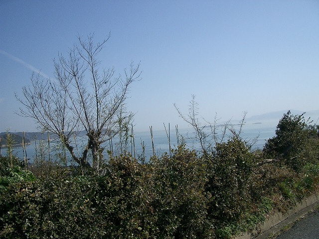 http://www.firstland.co.jp/recommend_baibai/images/IMGP2397.jpg