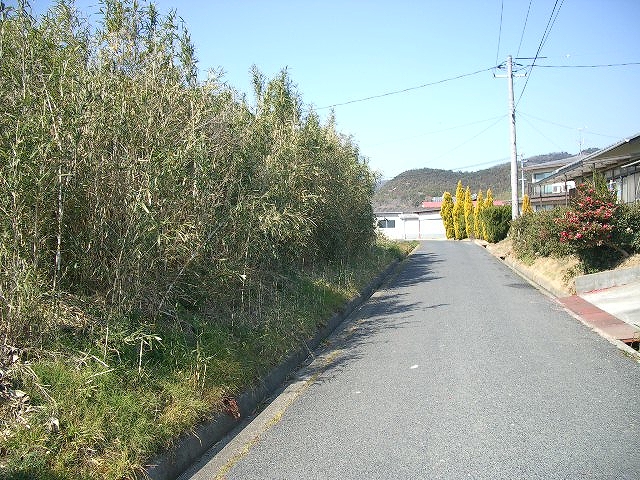 http://www.firstland.co.jp/recommend_baibai/images/IMGP2398.jpg