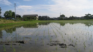 IMG_4755.jpg