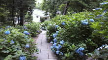 2012062715130000.jpgのサムネール画像