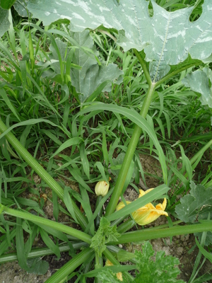 P1250100.JPG
