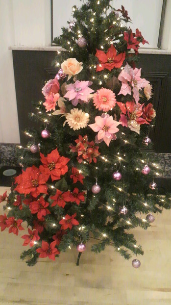 2012120721150000.jpg