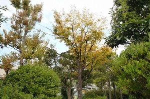 P1270746.jpg