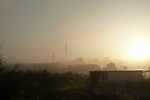 P1270760.jpg