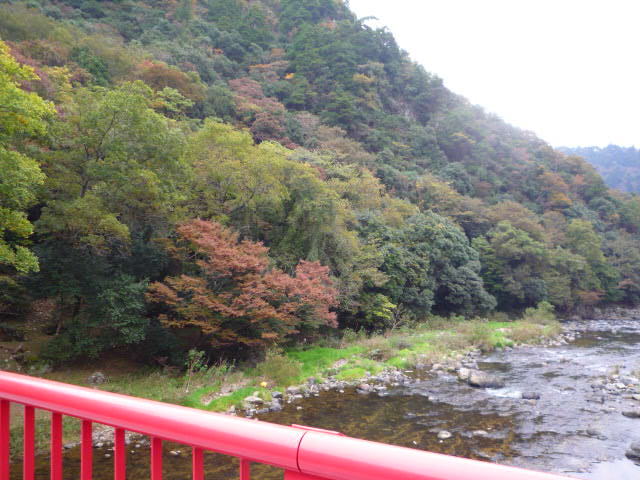 P1080741.JPG